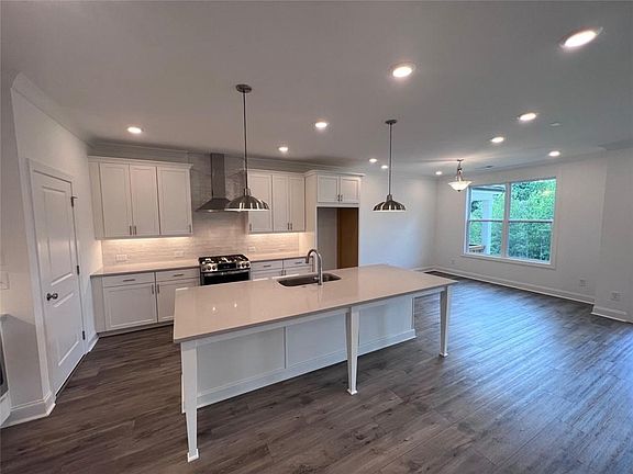 Amazing Gourmet Kitchen with White Painted Cabinets