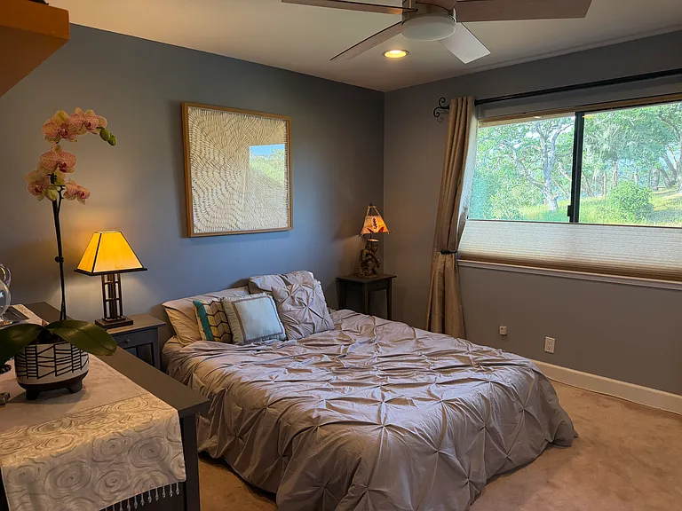 2204 Laguna Vista Dr — Photo 18