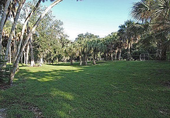 Backyard Oasis