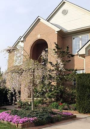 4th image of 3486 Honeysuckle Ct