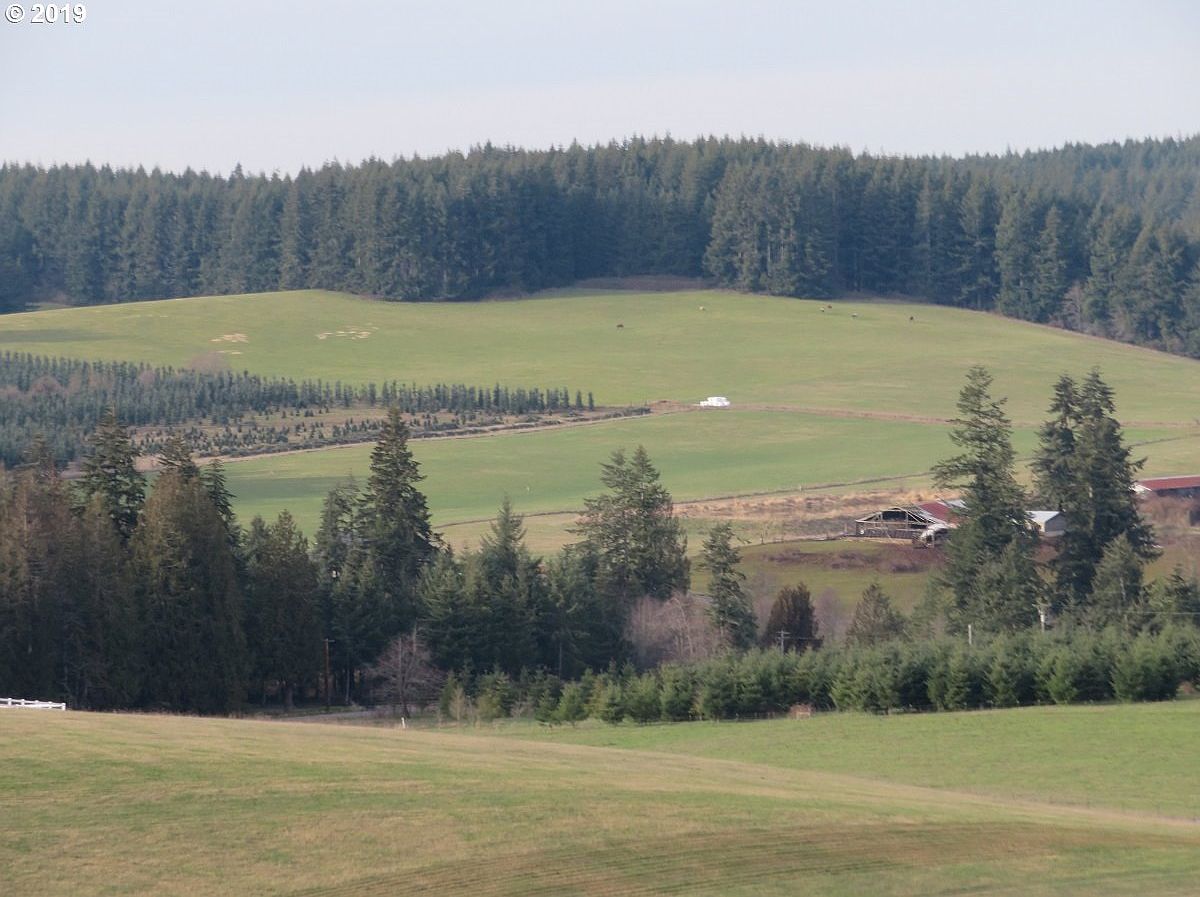 Mohoric Rd B, Adna, WA 98522 Zillow