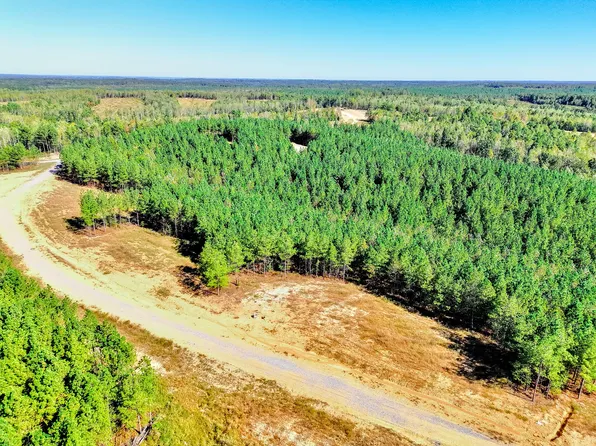 0 Warren Proctor Ln Lot 33-35, Erin, TN 37061