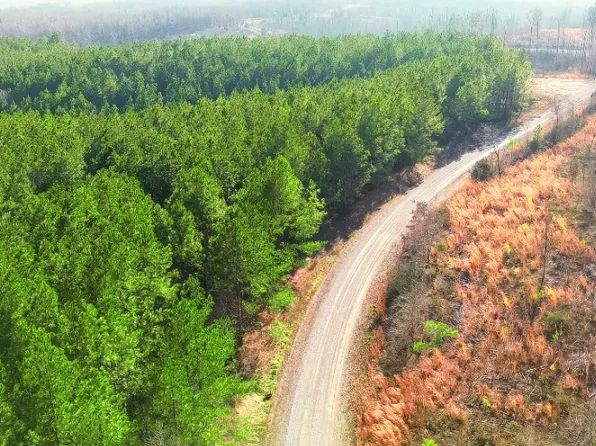 31 Ivy Hollow Ln, Stewart, TN 37175