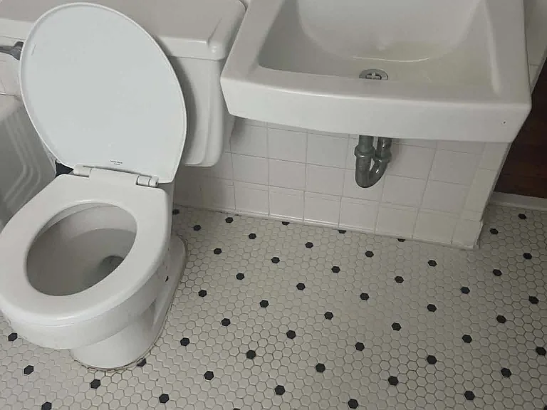 Upstairs Bath Sink and Commode