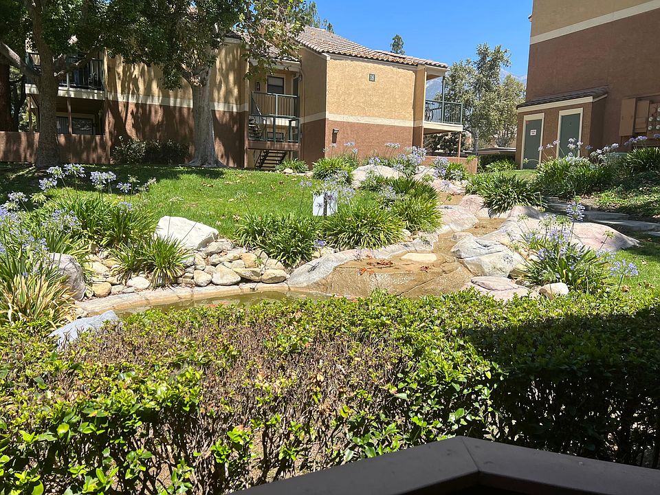View from patio