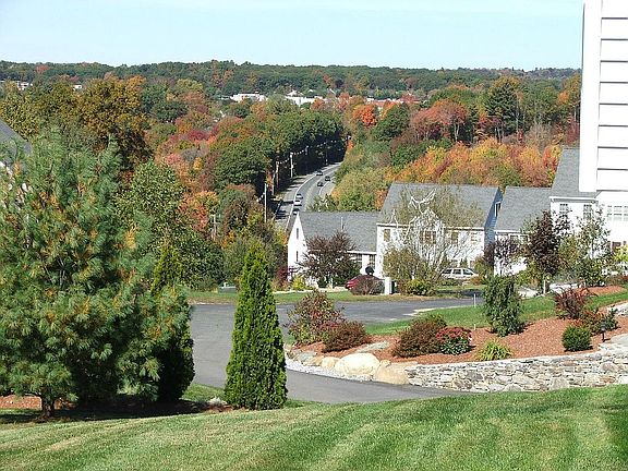 View from deck