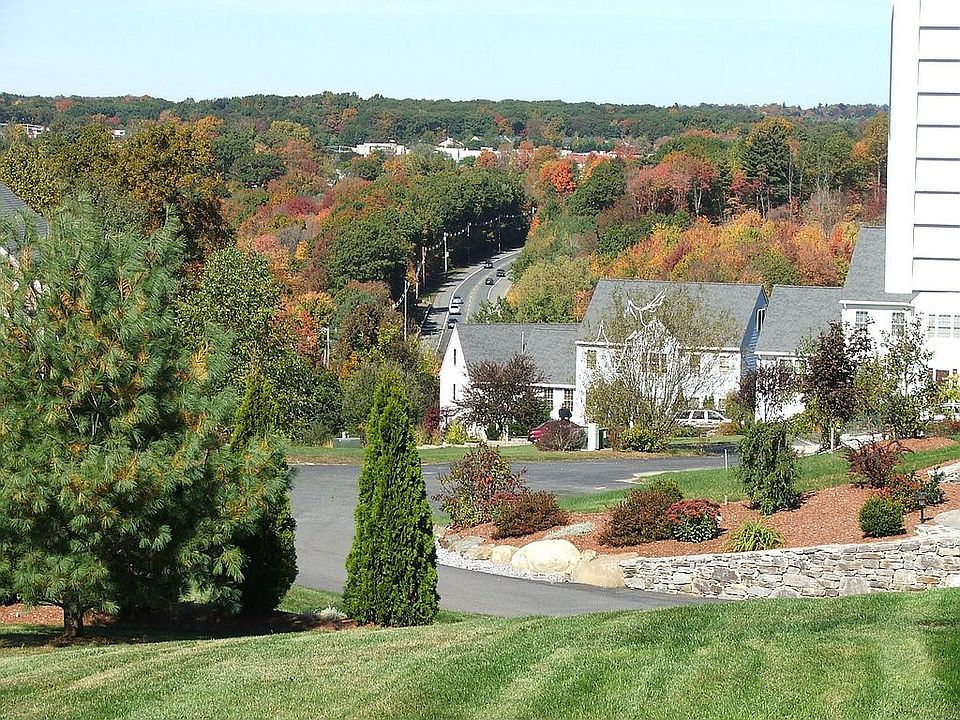 View from deck
