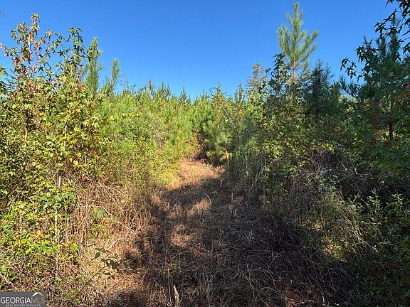 5th image of 0 Kilpatrick Rd Tract 2A