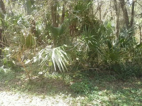 Cornsilk Ter, North Port, FL 34286