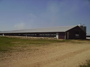 2nd image of 495 & 497 Mc #8001