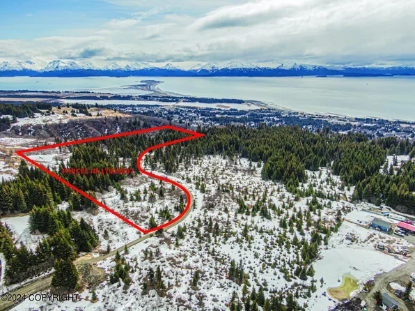 Township Road A Tundra Rose Rd, Homer, AK 99603