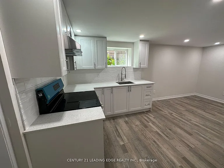 11 White Abbey Park #BASEMENT — Photo 4