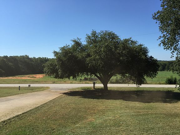 you can see deer, turkey 