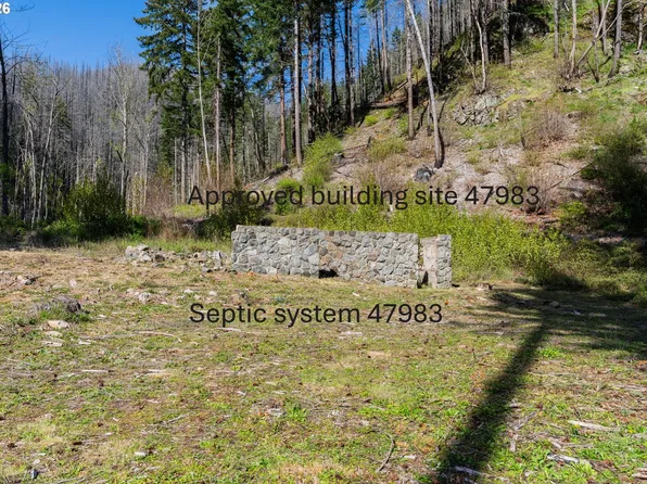 47983 McKenzie Hwy, Vida, OR 97488