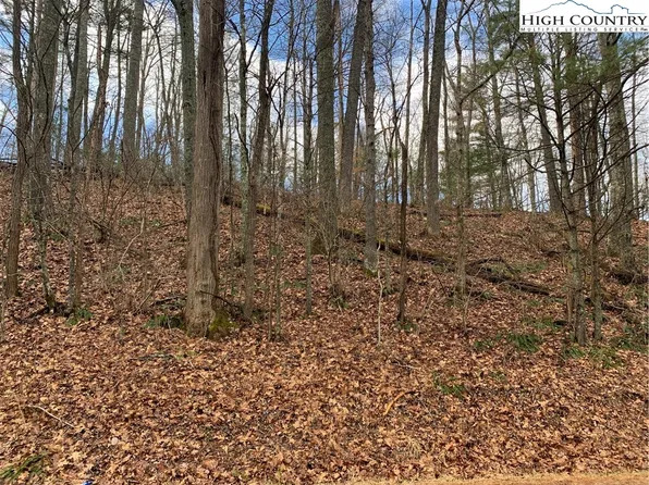 TBD 113 Highway, Laurel Springs, NC 28668