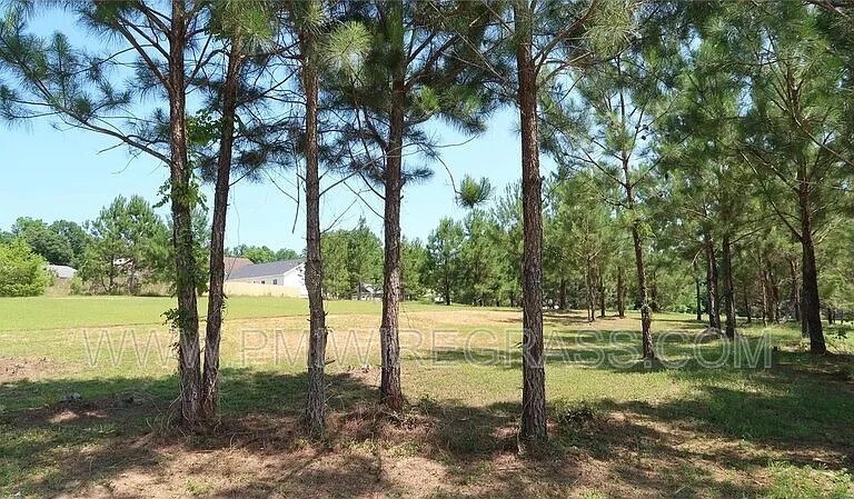174 Sandy Hills Ct — Photo 38