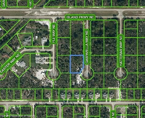 1st image of 217 Gasparilla Way NE