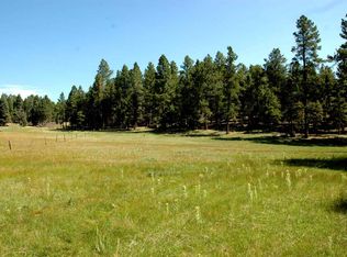Norte Rd, Angel Fire, NM 87710
