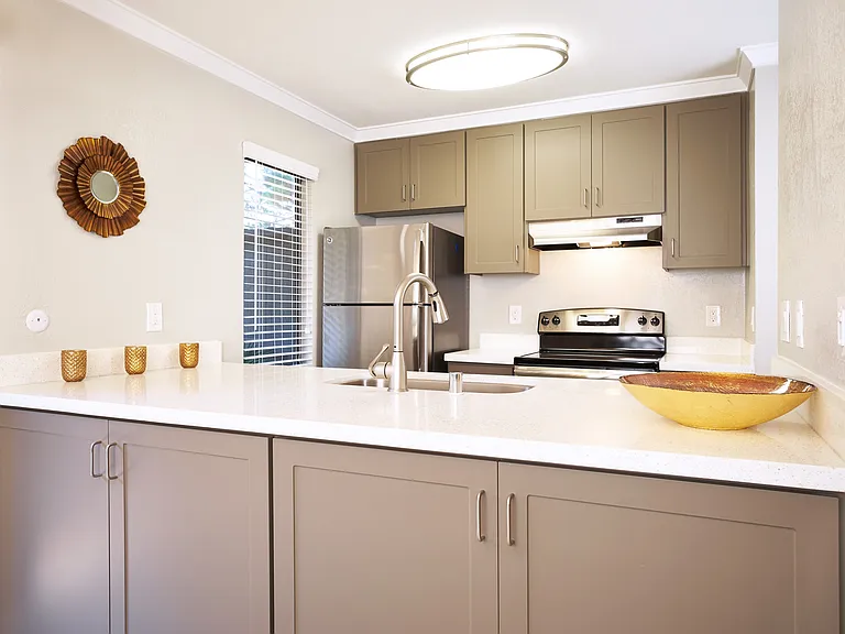 DP5 FURN kitchen2 (1)