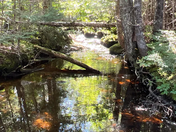 Lot 12 Homestead Drive, Lakeville, ME 04487