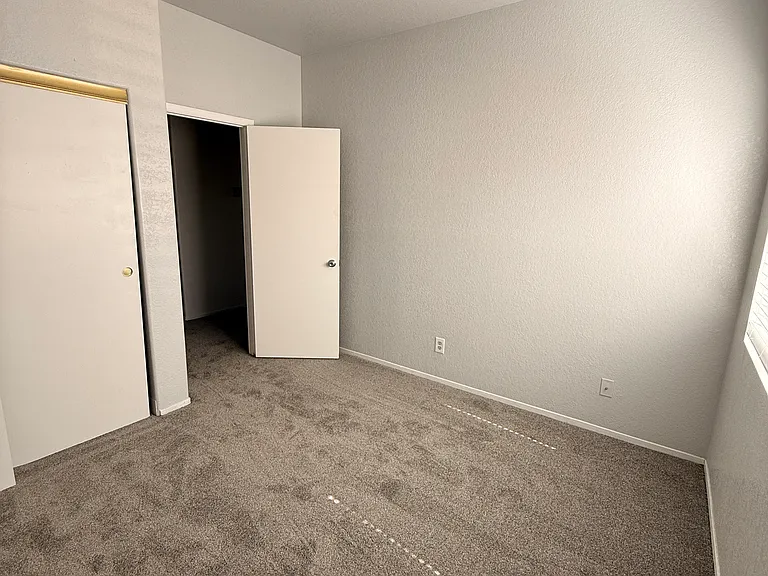 1503 Shotgun Ln — Photo 11