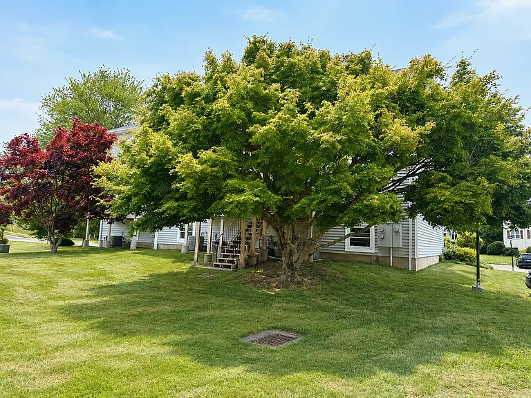31 Carriage Dr #31 — Photo 15