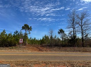 17 Dozier Rd, Ellaville, GA 31806