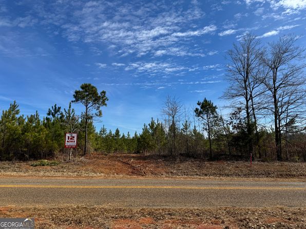 17 Dozier Rd, Ellaville, GA 31806
