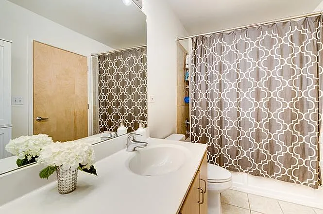630 N Franklin St #811 — Photo 15
