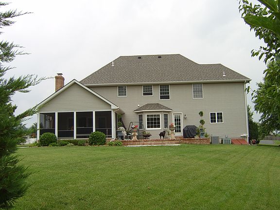 Back View