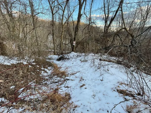 2835 Cool Springs Rd #A, Thaxton, VA 24174