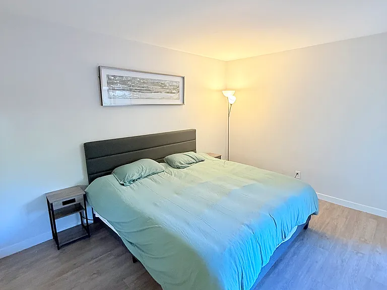 Master Bedroom with King bed