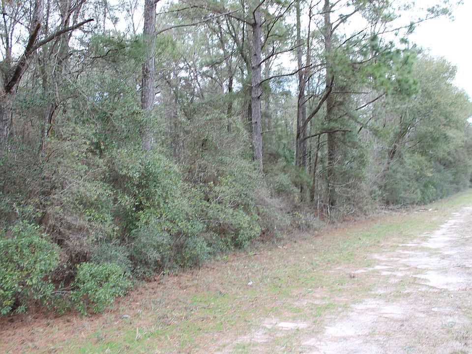 2nd image of Spring Creek Hwy