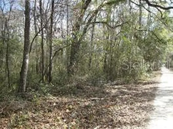 0 NW 77th St #4, Gainesville, FL 32653