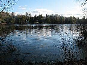 Beautiful View Of Freeses Pond