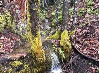 60 Acres New 3 Creeks Rd, Willow Creek, CA 95573