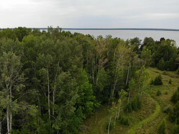 Bluffs Hwy, Onaway, MI 49765