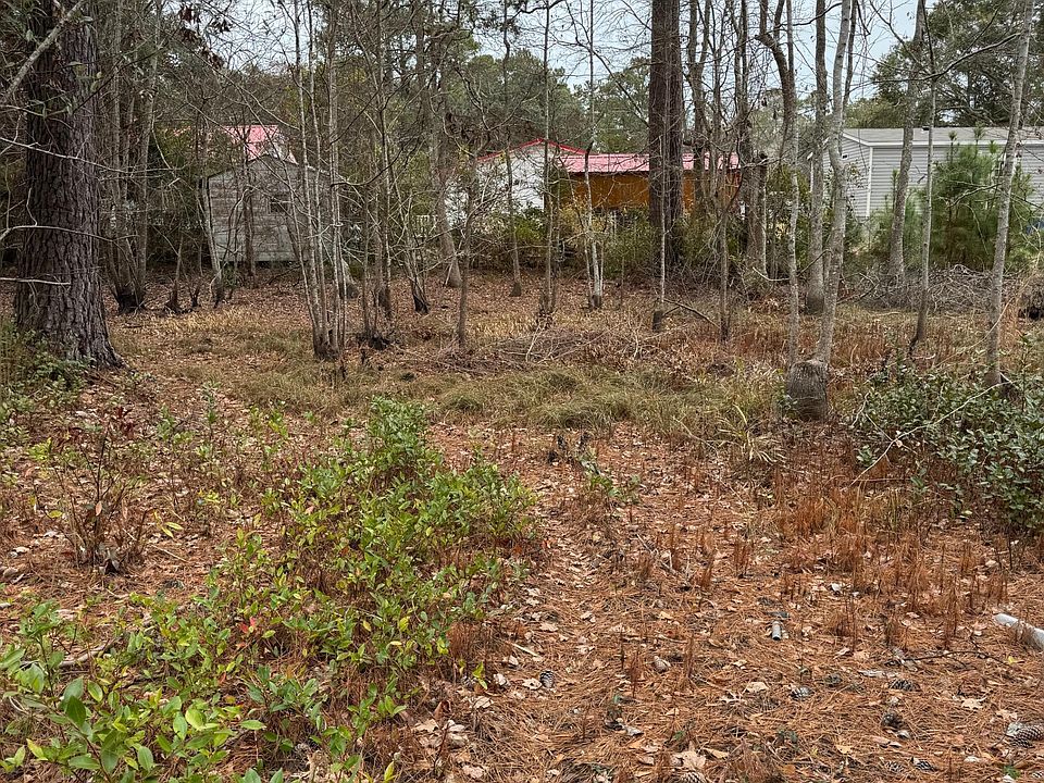 2nd image of 659 Brookneal Street SE LOT 40,41