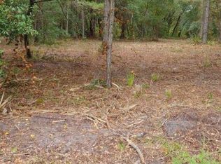 0 NE 148th Terrace Rd, Fort Mc Coy, FL 32134