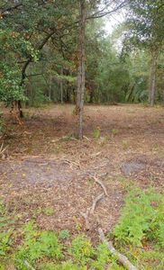 0 NE 148th Terrace Rd, Fort Mc Coy, FL, 32134