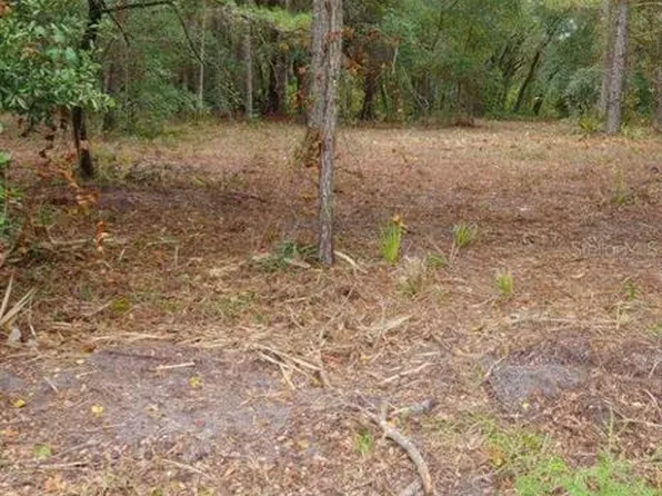 0 NE 148th Terrace Rd, Fort Mc Coy, FL 32134