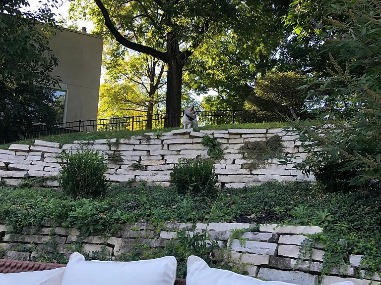 971 Grandview Ave — Photo 12