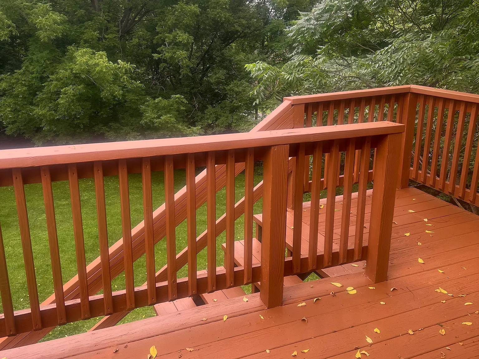 1 bed, 675 sqft, $1,295 — Photo 2