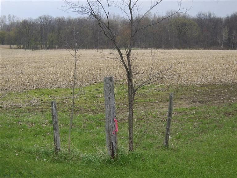 2nd image of State Rd