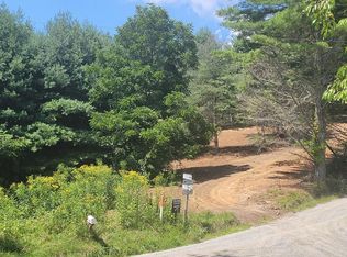 Tbd Pine Branch Rd, Mouth Of Wilson, VA 24363