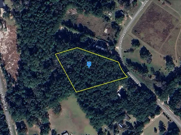 545 Homestead Dr, Ellabell, GA 31308