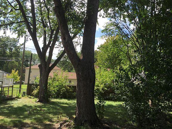 huge backyard