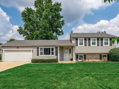 1314 Colwyn Dr, Schaumburg, IL, 60194