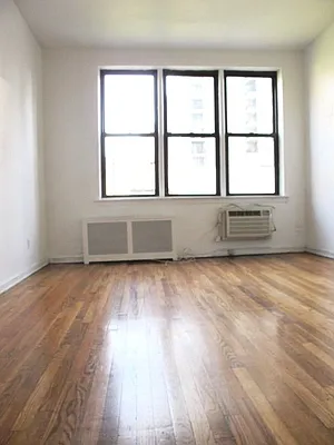 Rented by Manhattan Flats | media 14