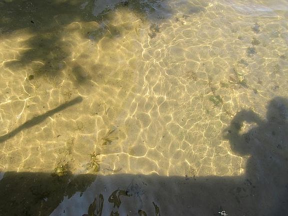Beautiful clear cedar lake